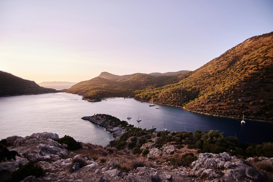 Travel Essentials: What You Need for a Stress-Free Trip